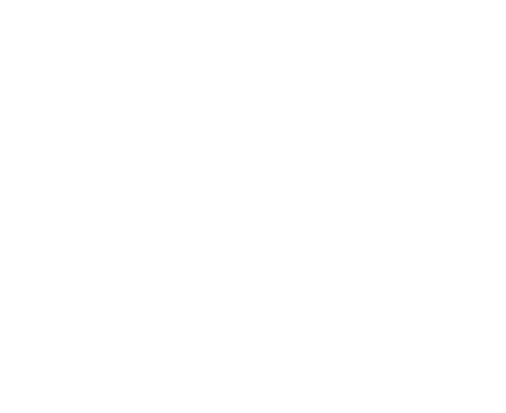 Icon Erfolg weltweit