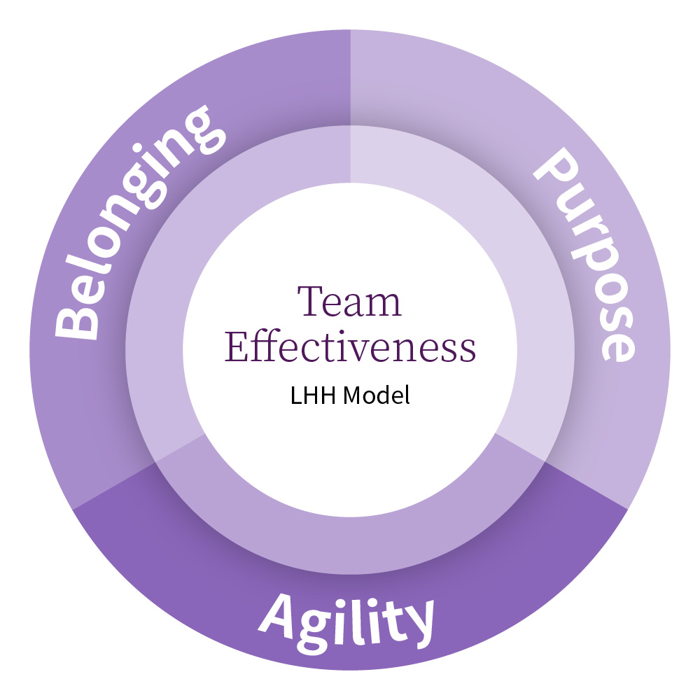 Enhancing teams for success