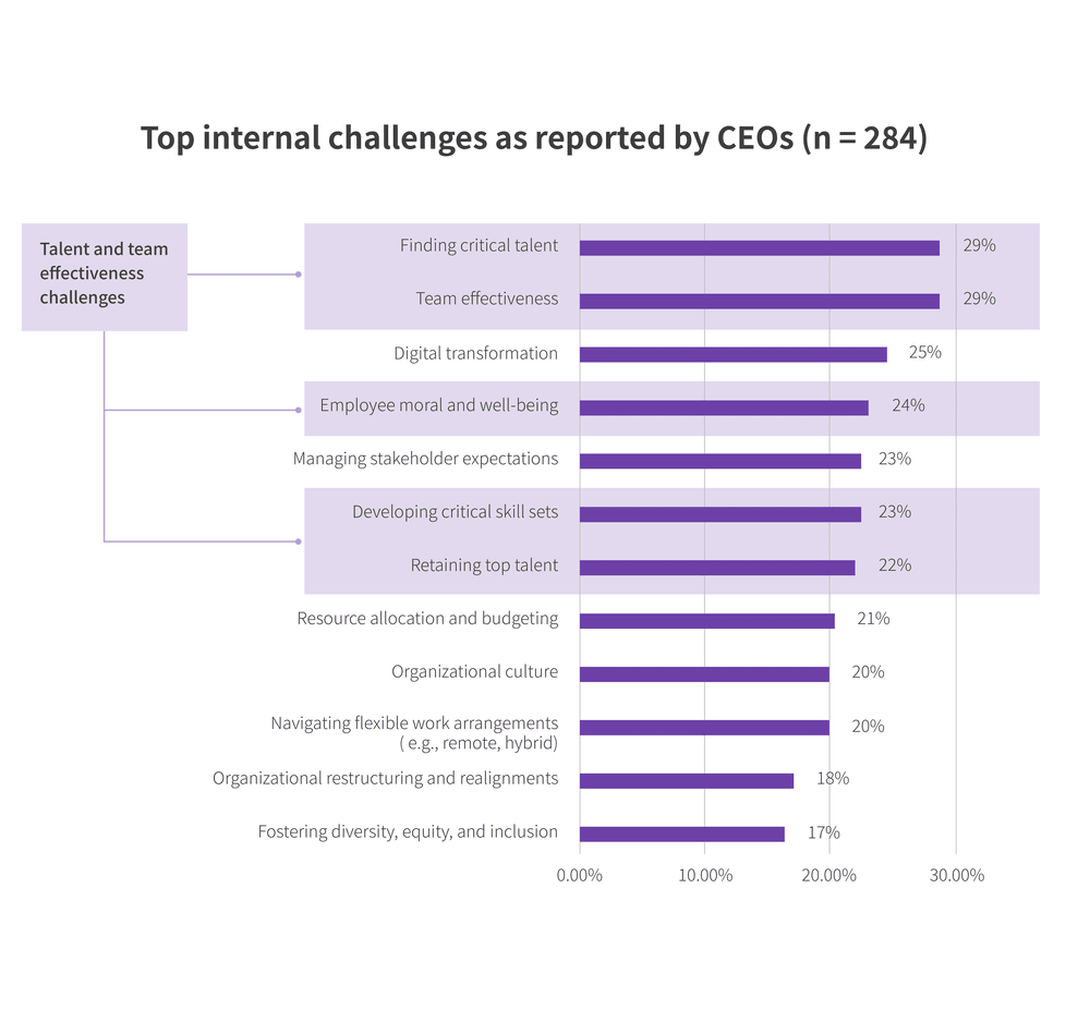 Top internal challenges as reported by CEOs